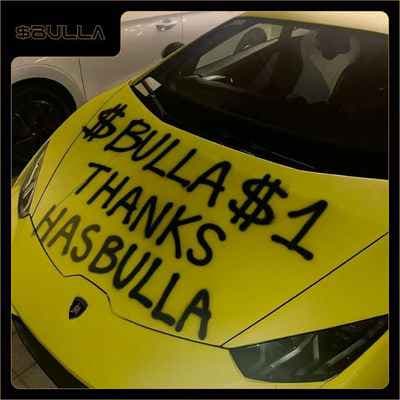 BULLA COIN 8